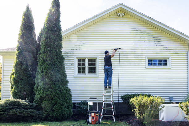 Best Residential Pressure Washing Services  in Madison, IN